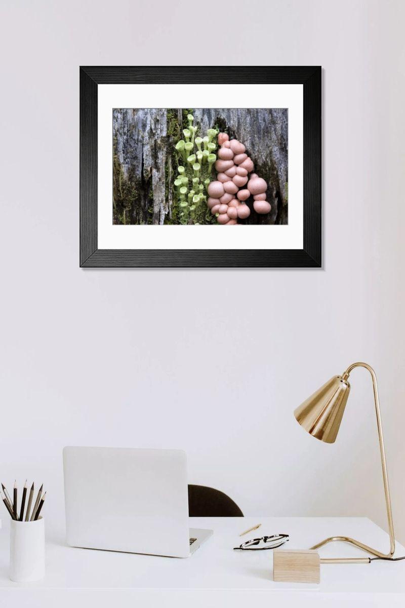 Shown hanging in a room: Modern 14"x12" (36x31cm)