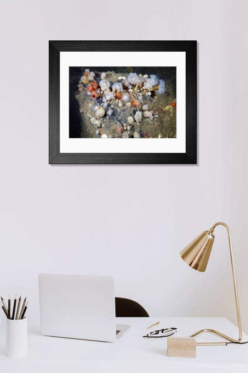 Shown hanging in a room: Modern 14"x12" (36x31cm)