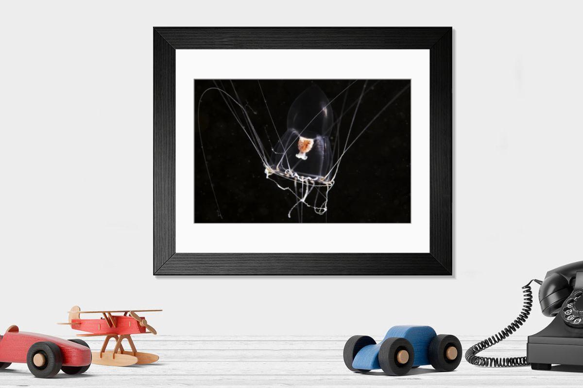 Shown hanging in a room: Modern 14"x12" (36x31cm)