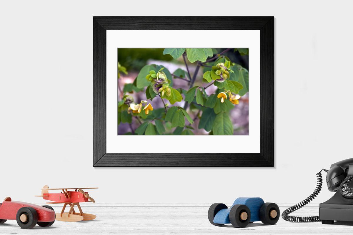 Shown hanging in a room: Modern 14"x12" (36x31cm)