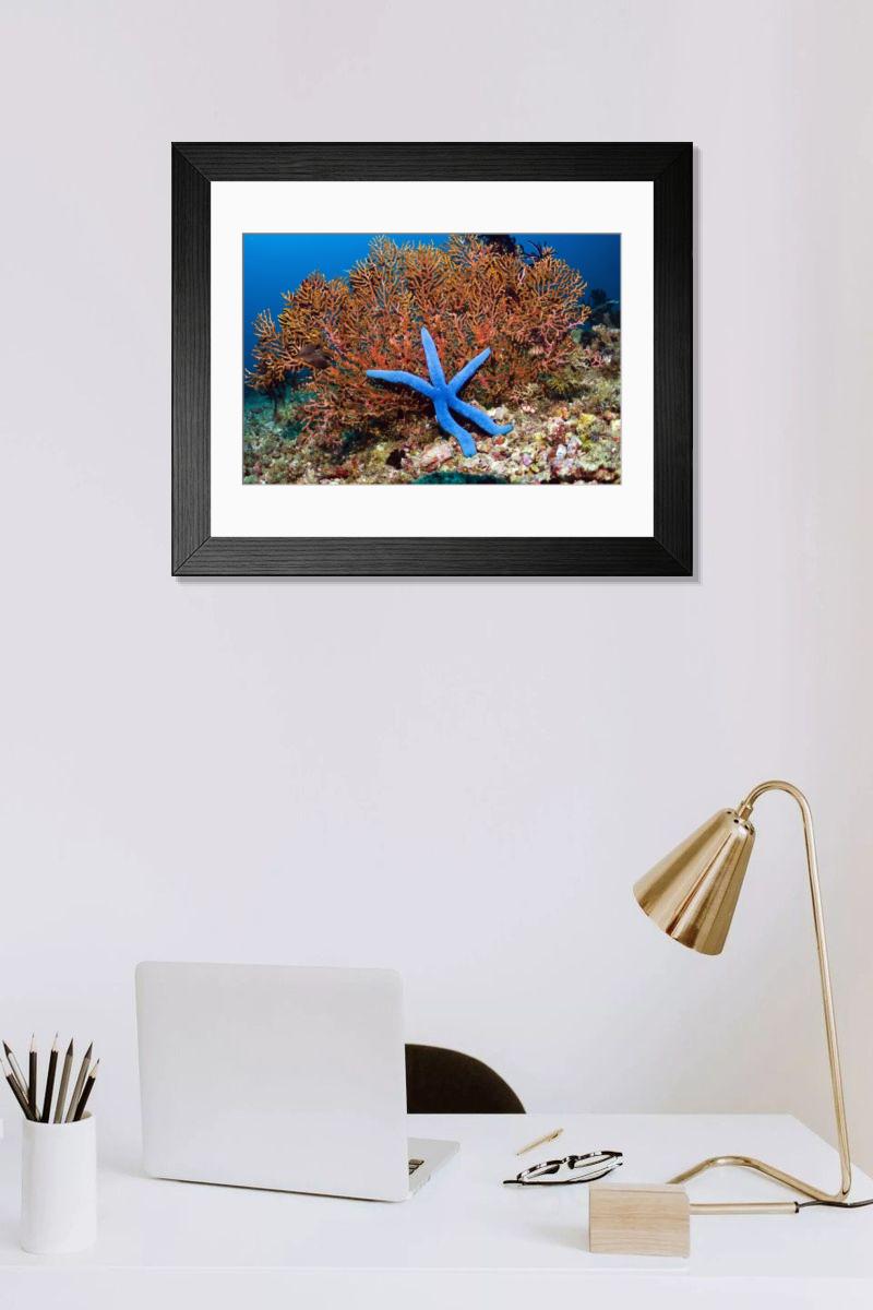 Shown hanging in a room: Modern 14"x12" (36x31cm)