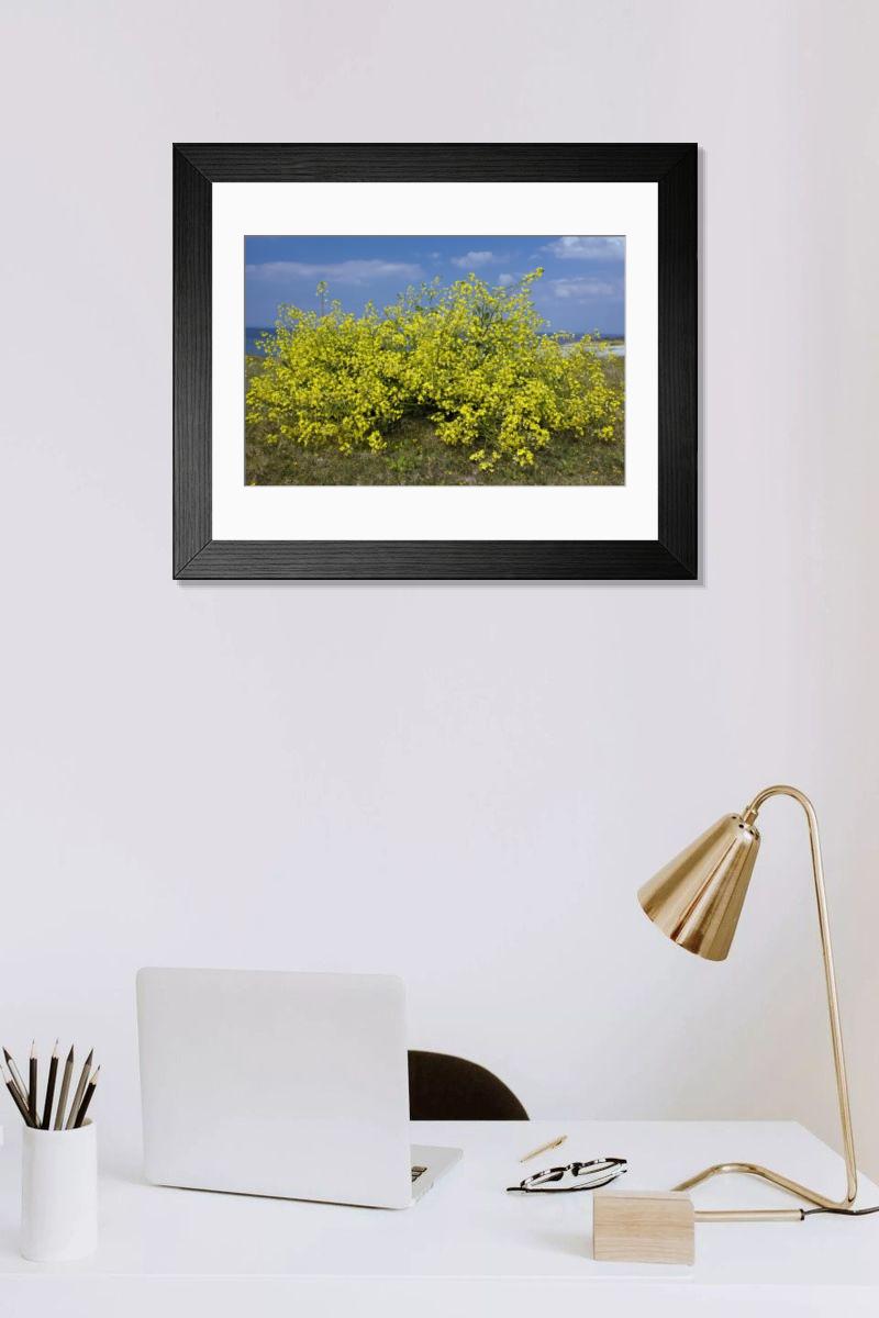 Shown hanging in a room: Modern 14"x12" (36x31cm)