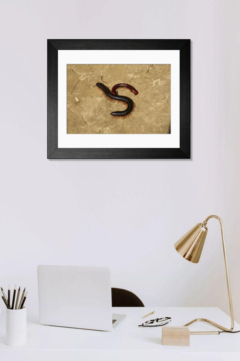 Shown hanging in a room: Modern 14"x12" (36x31cm)