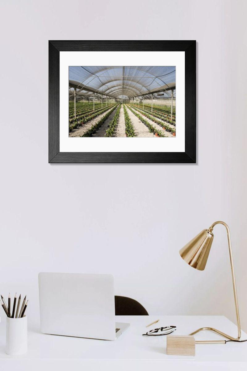 Shown hanging in a room: Modern 14"x12" (36x31cm)