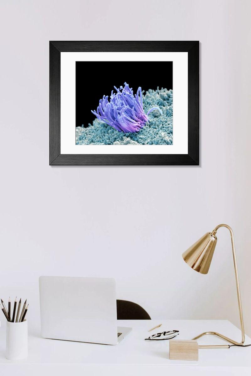 Shown hanging in a room: Modern 14"x12" (36x31cm)