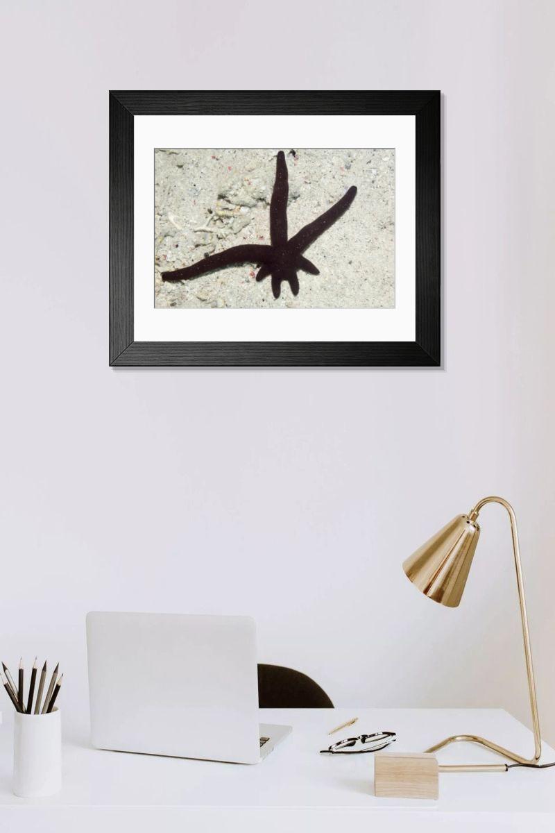 Shown hanging in a room: Modern 14"x12" (36x31cm)