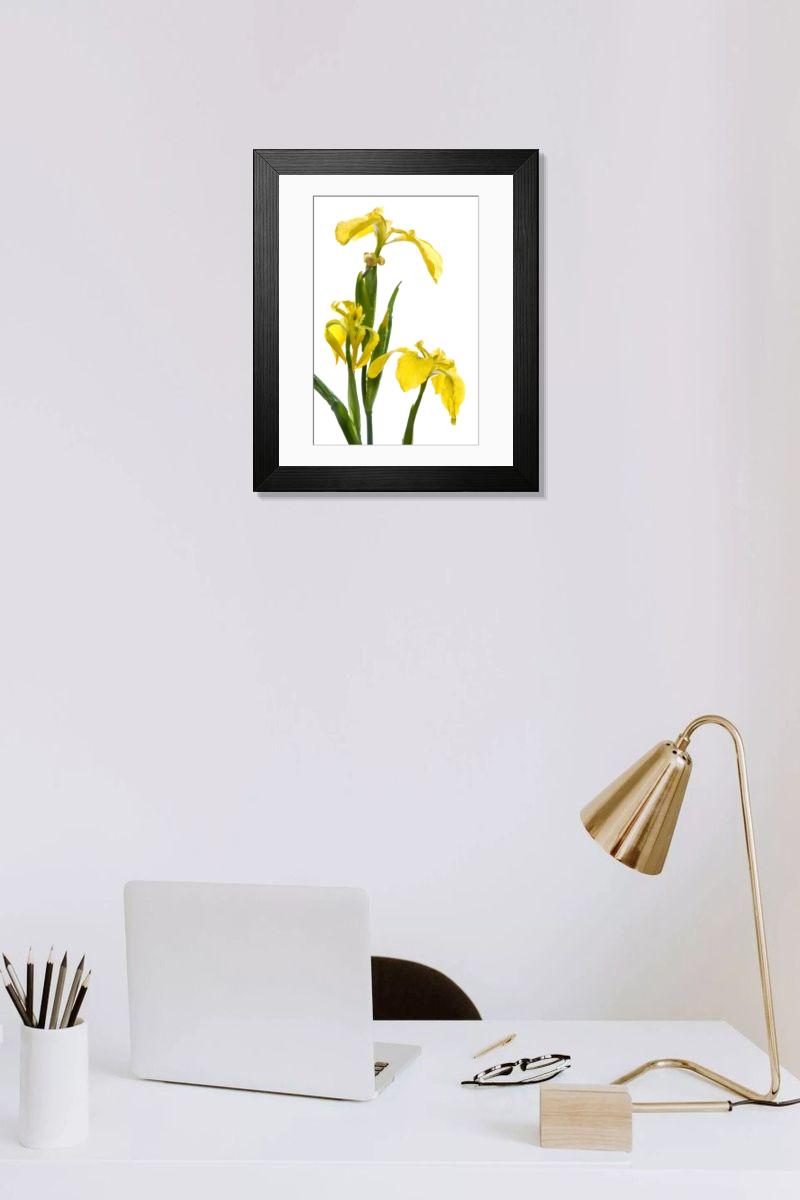 Shown hanging in a room: Modern 14"x12" (36x31cm)