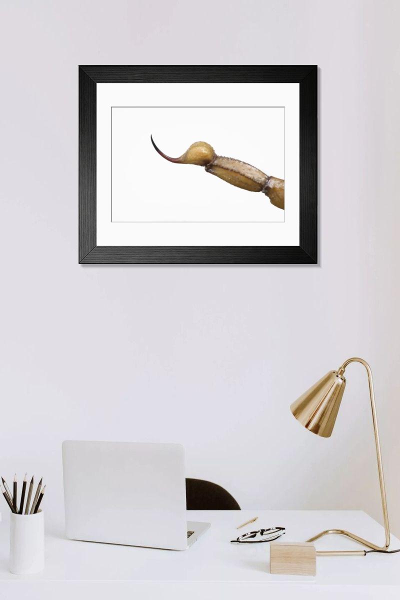 Shown hanging in a room: Modern 14"x12" (36x31cm)