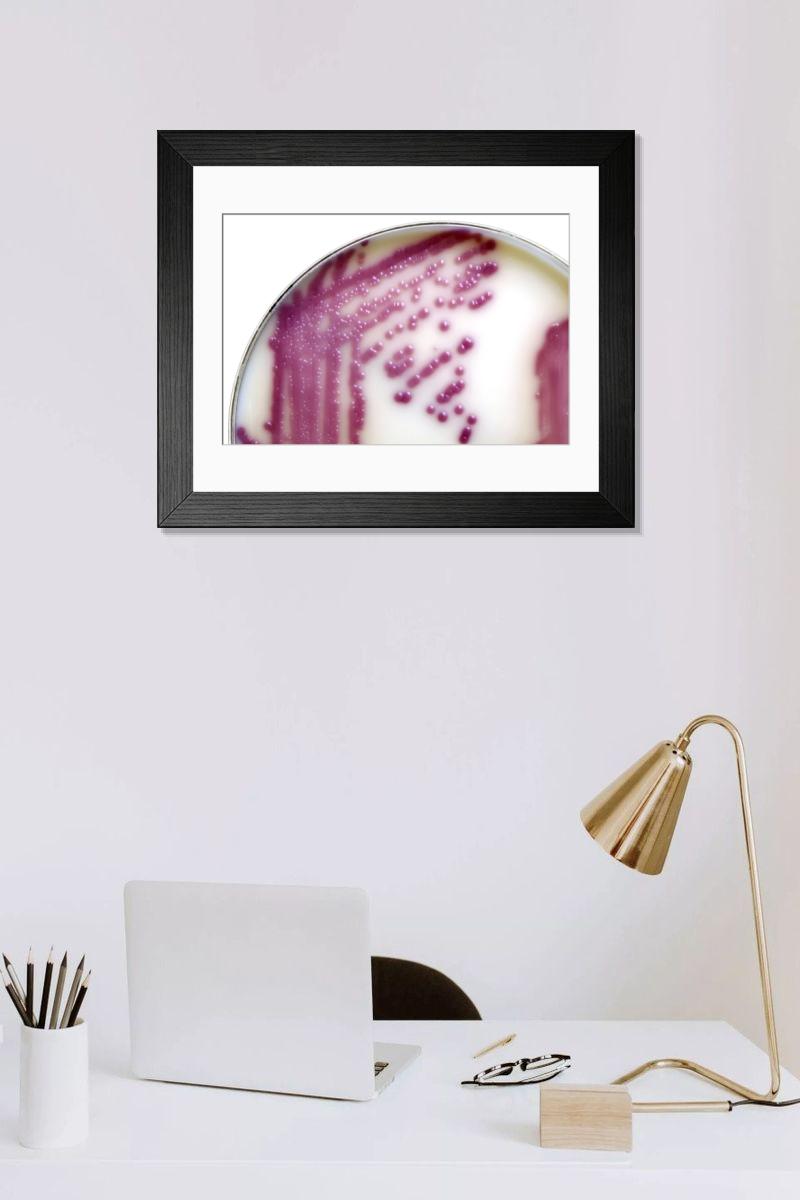 Shown hanging in a room: Modern 14"x12" (36x31cm)