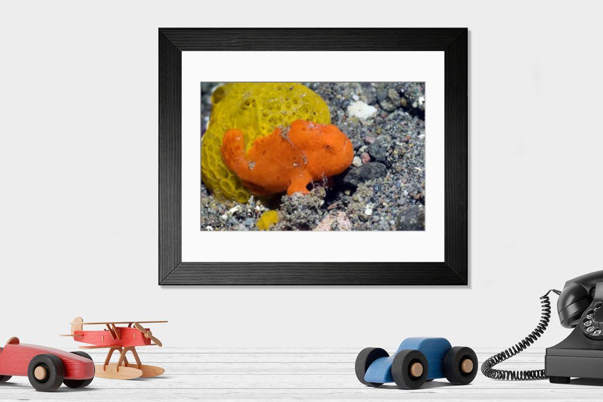 Shown hanging in a room: Modern 14"x12" (36x31cm)