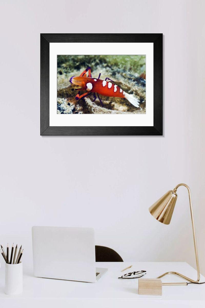 Shown hanging in a room: Modern 14"x12" (36x31cm)