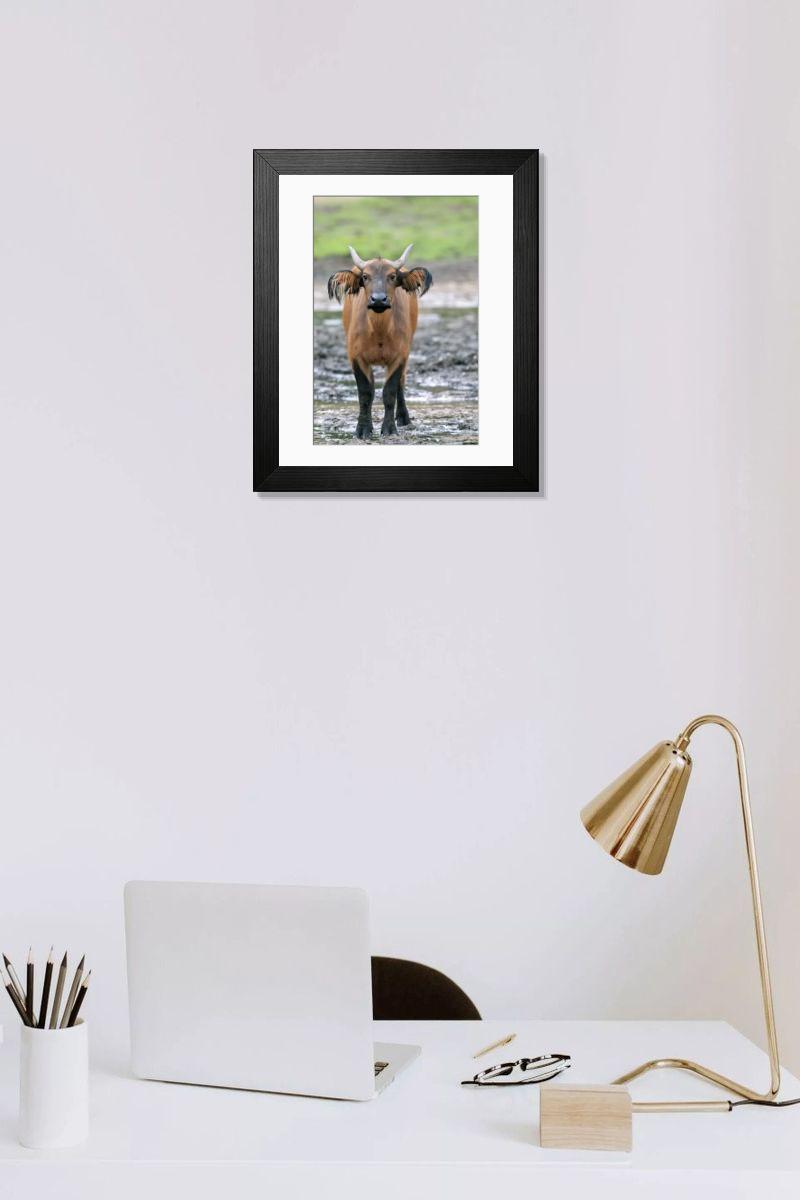 Shown hanging in a room: Modern 14"x12" (36x31cm)