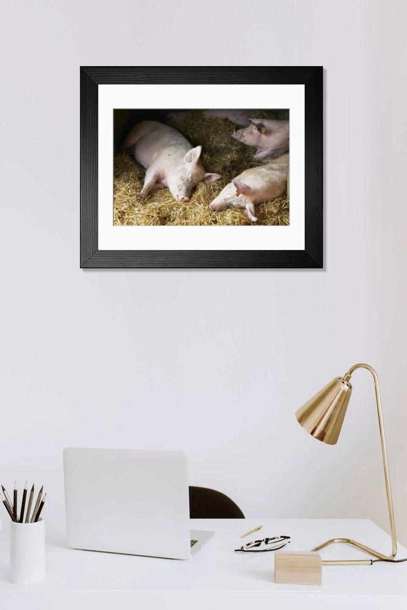 Shown hanging in a room: Modern 14"x12" (36x31cm)