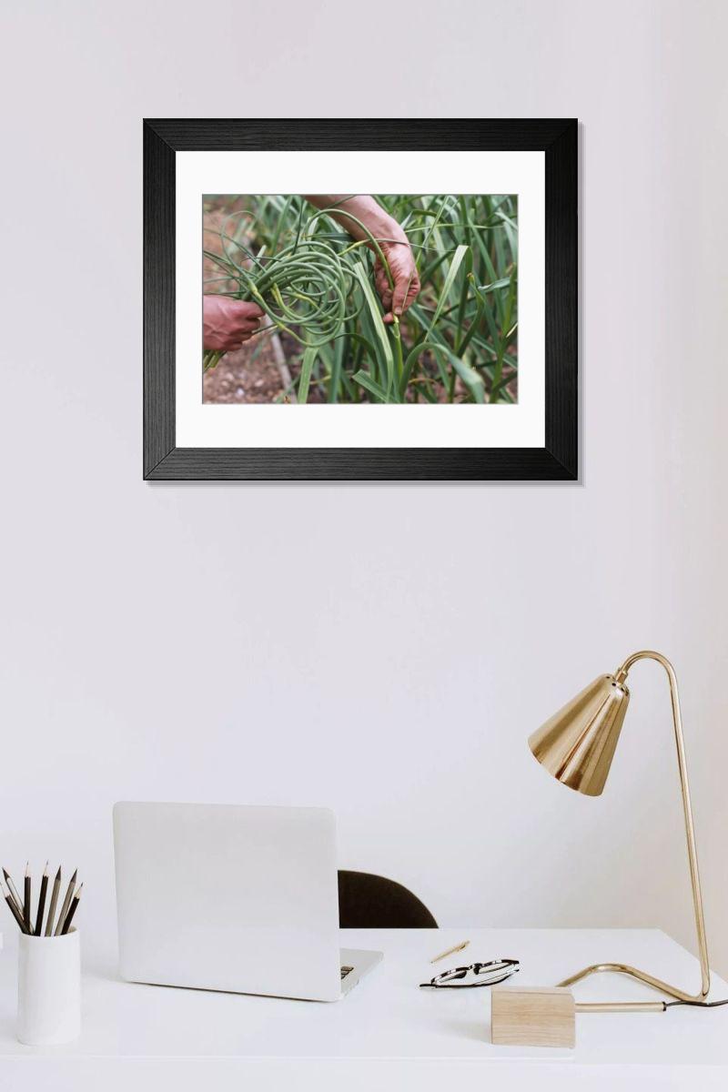 Shown hanging in a room: Modern 14"x12" (36x31cm)