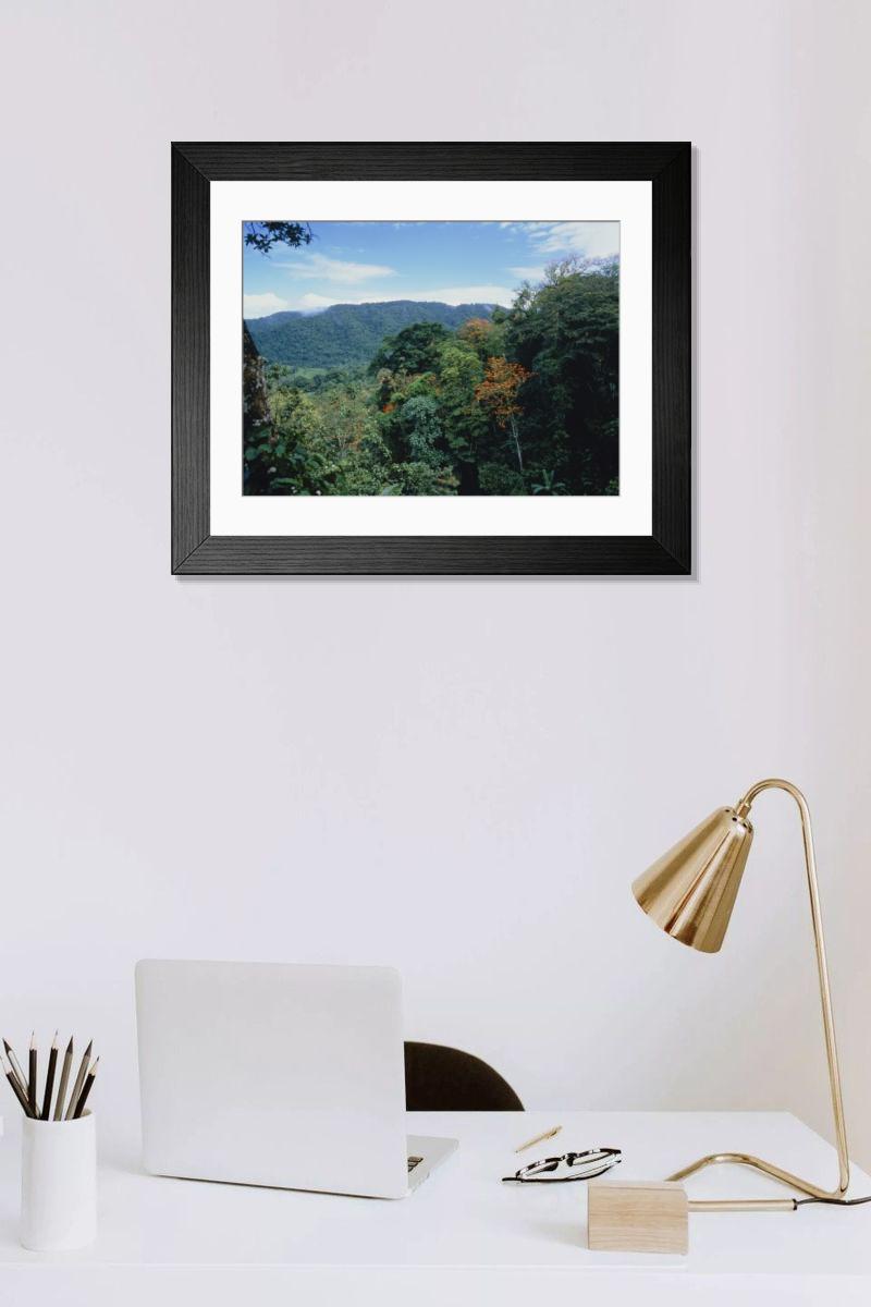 Shown hanging in a room: Modern 14"x12" (36x31cm)