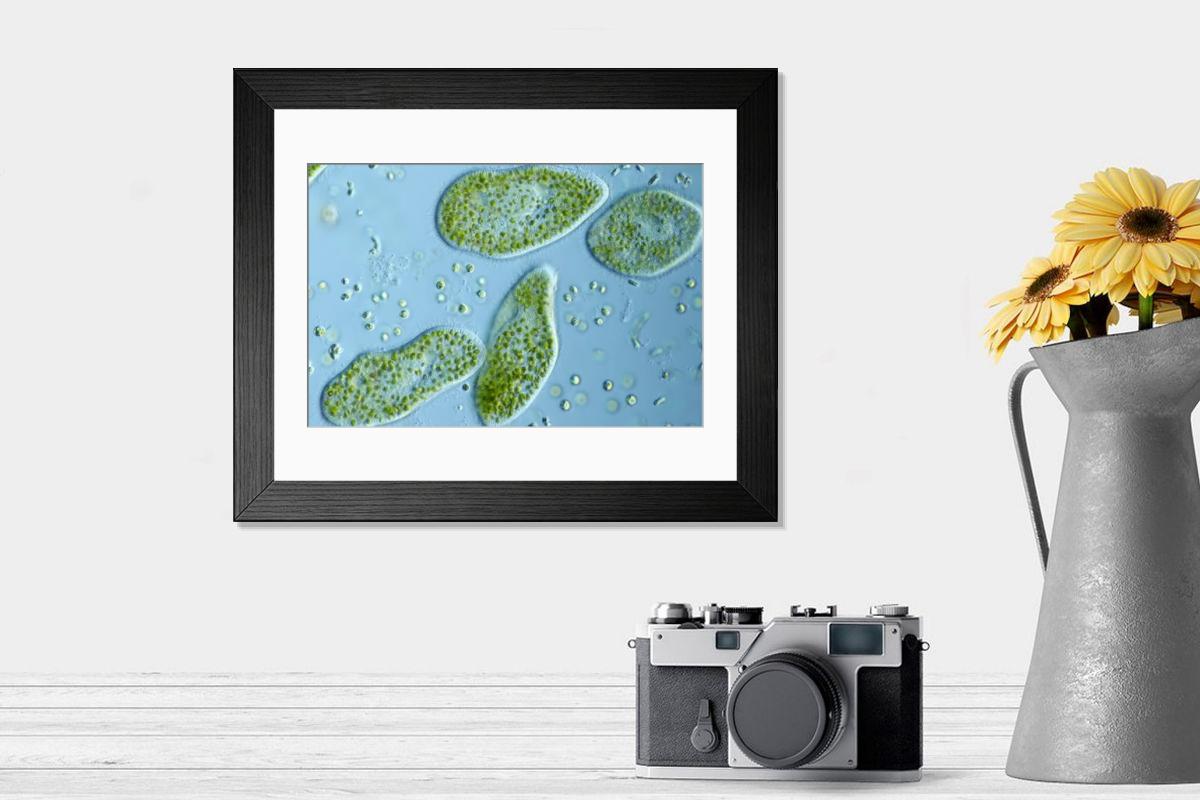 Shown hanging in a room: Modern 14"x12" (36x31cm)