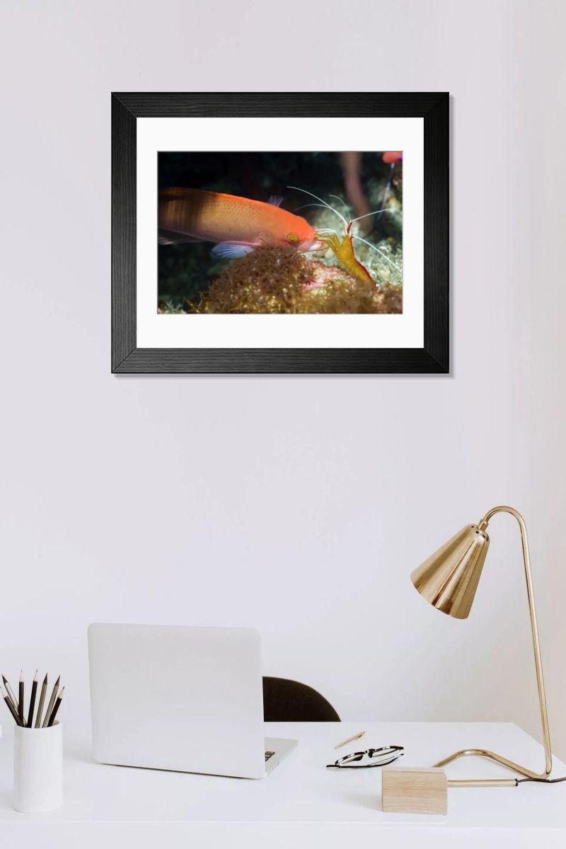 Shown hanging in a room: Modern 14"x12" (36x31cm)