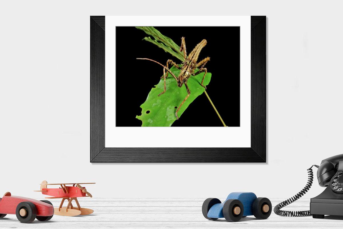 Shown hanging in a room: Modern 14"x12" (36x31cm)