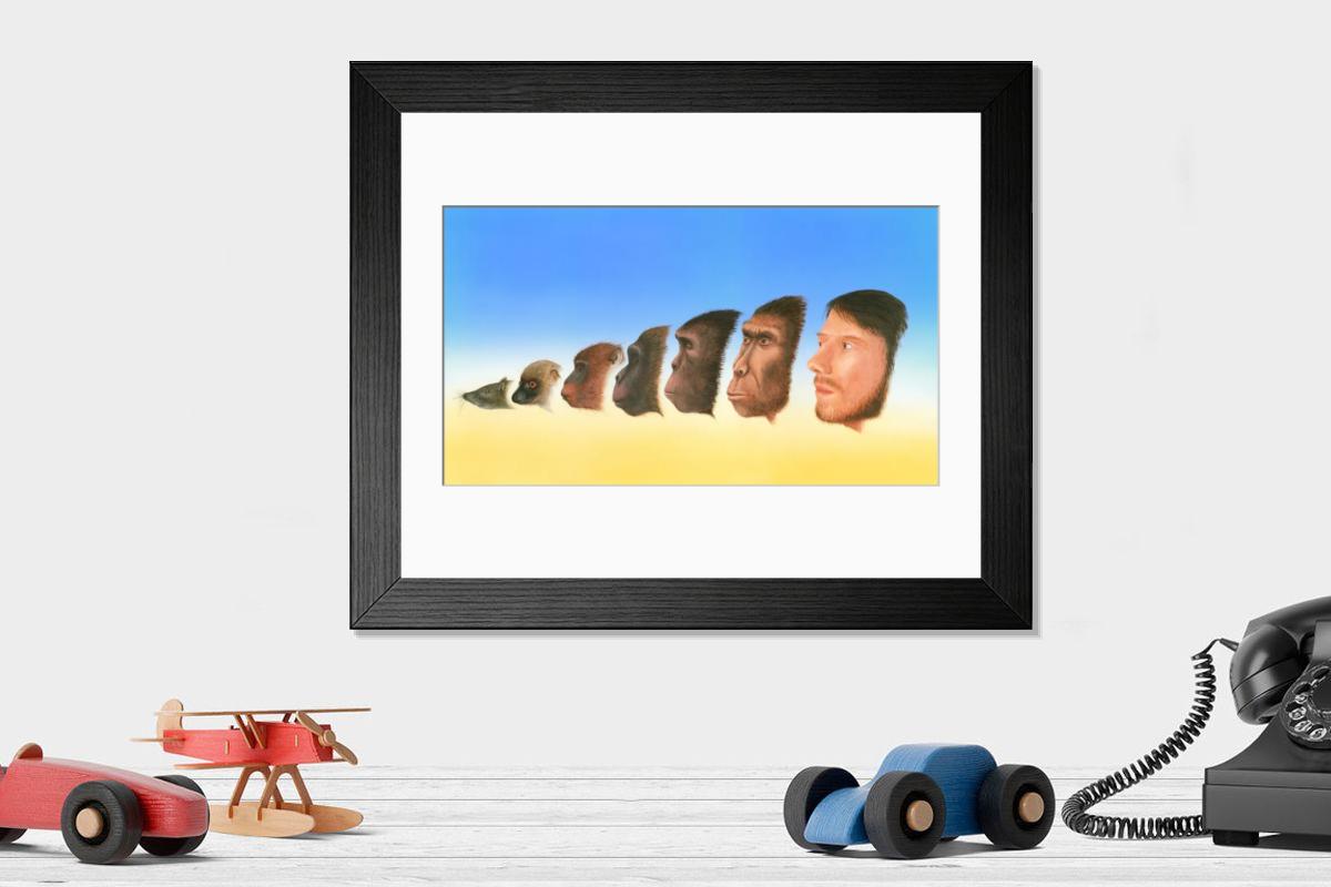 product preview 0