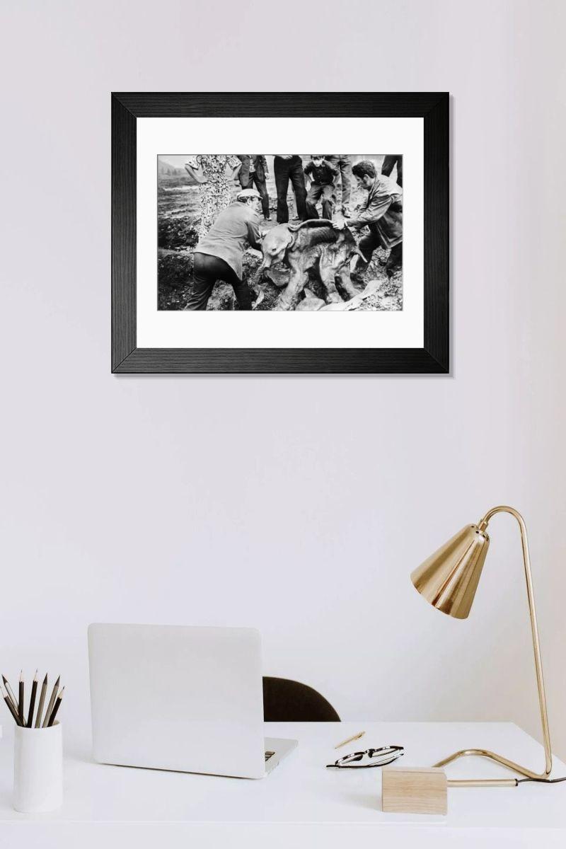 Shown hanging in a room: Modern 14"x12" (36x31cm)