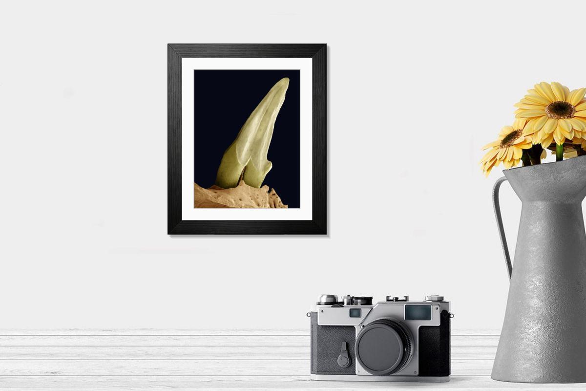 Shown hanging in a room: Modern 14"x12" (36x31cm)