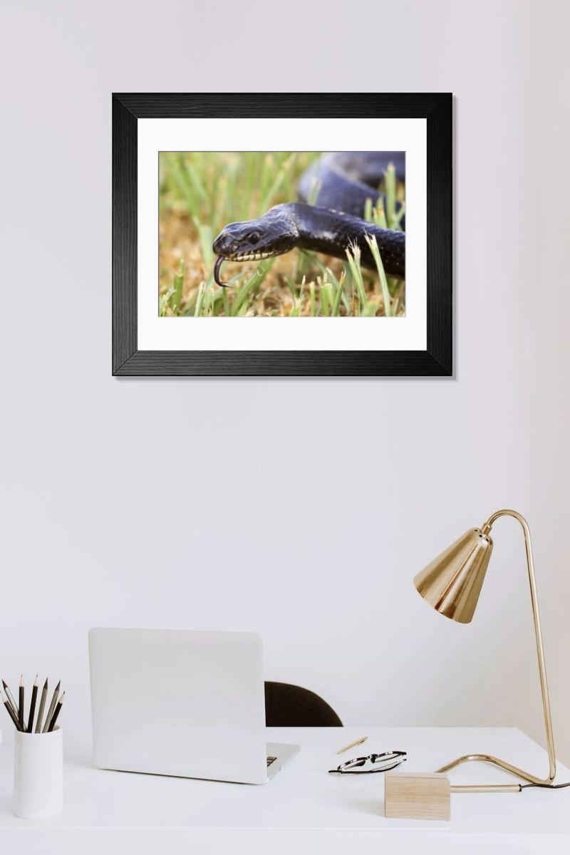 Shown hanging in a room: Modern 14"x12" (36x31cm)