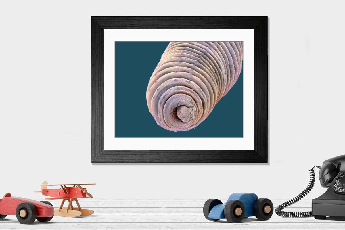 Shown hanging in a room: Modern 14"x12" (36x31cm)