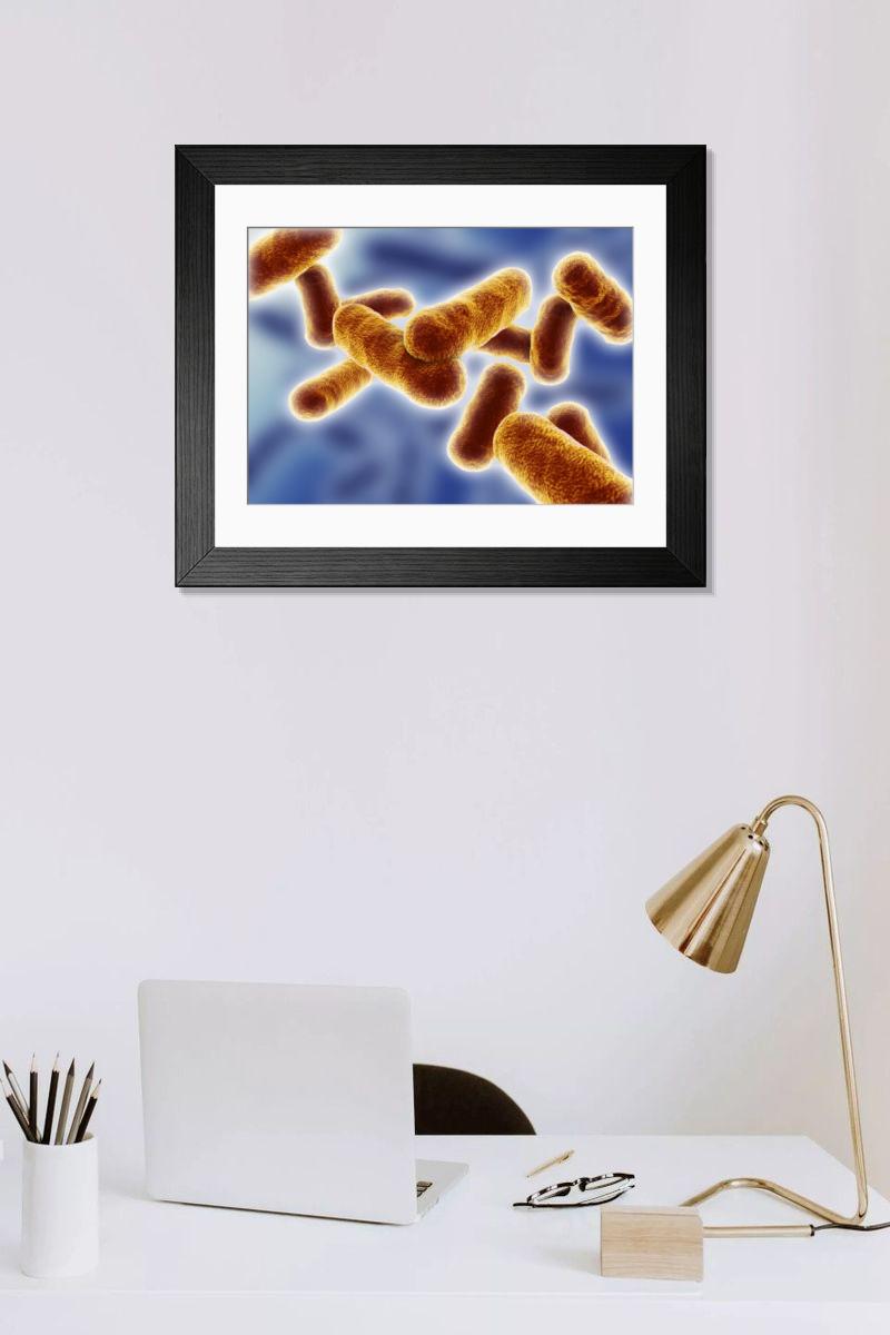 Shown hanging in a room: Modern 14"x12" (36x31cm)