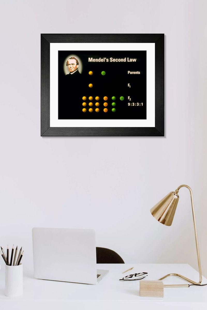 Shown hanging in a room: Modern 14"x12" (36x31cm)