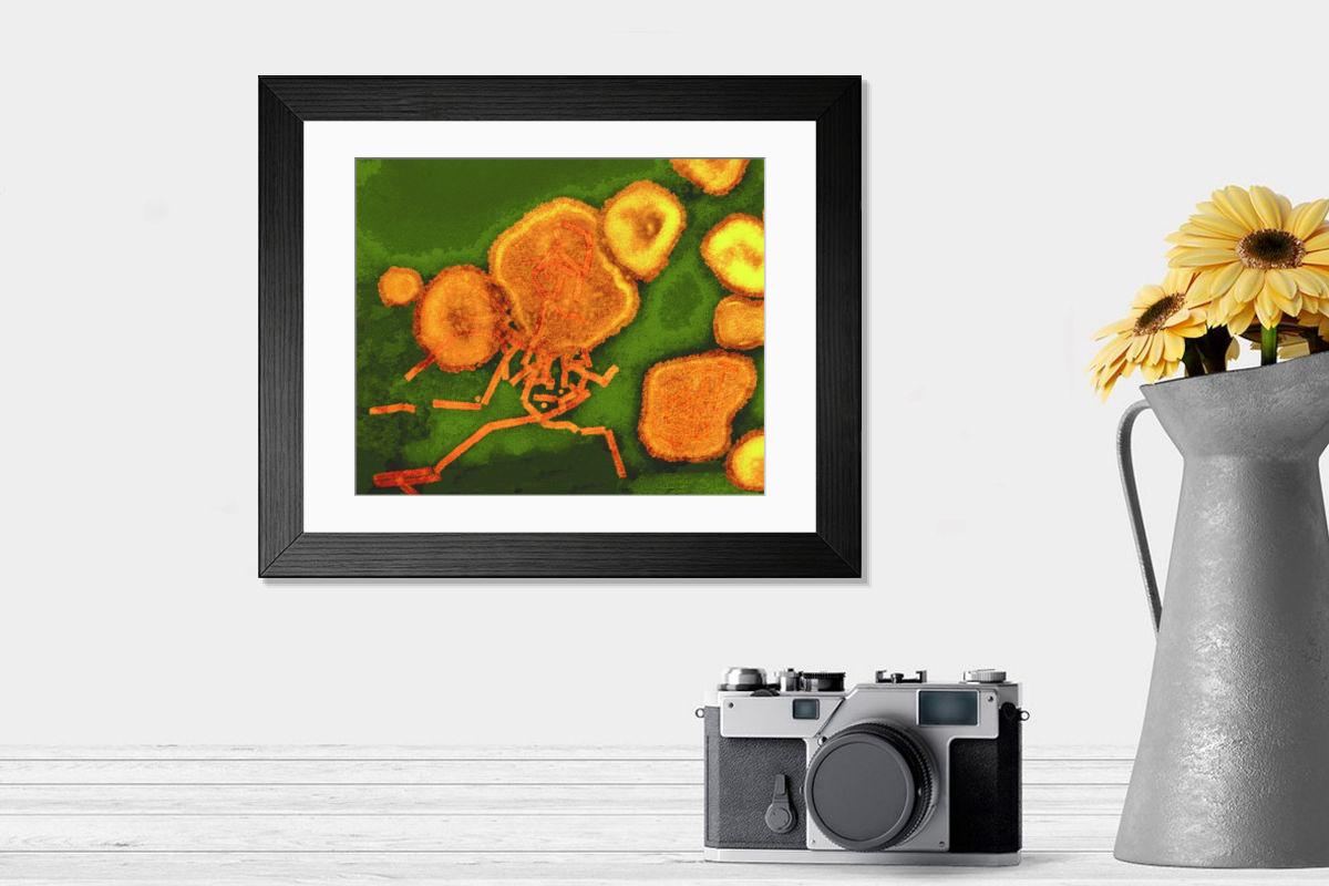 Shown hanging in a room: Modern 14"x12" (36x31cm)