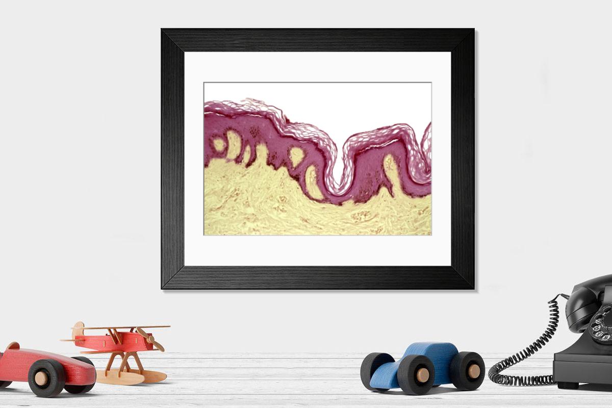Shown hanging in a room: Modern 14"x12" (36x31cm)