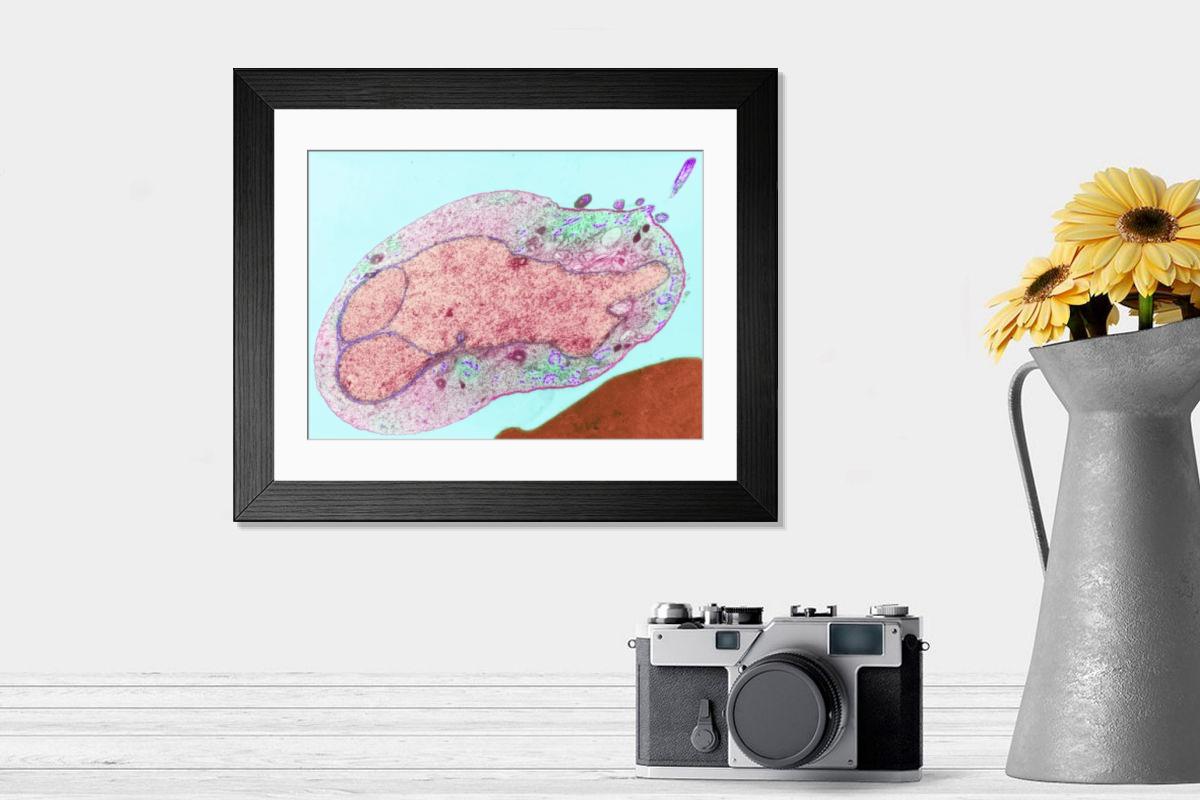 Shown hanging in a room: Modern 14"x12" (36x31cm)