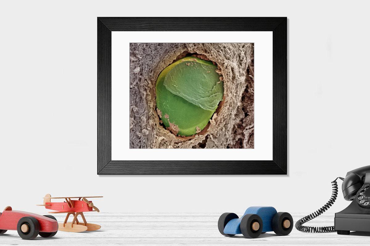 Shown hanging in a room: Modern 14"x12" (36x31cm)