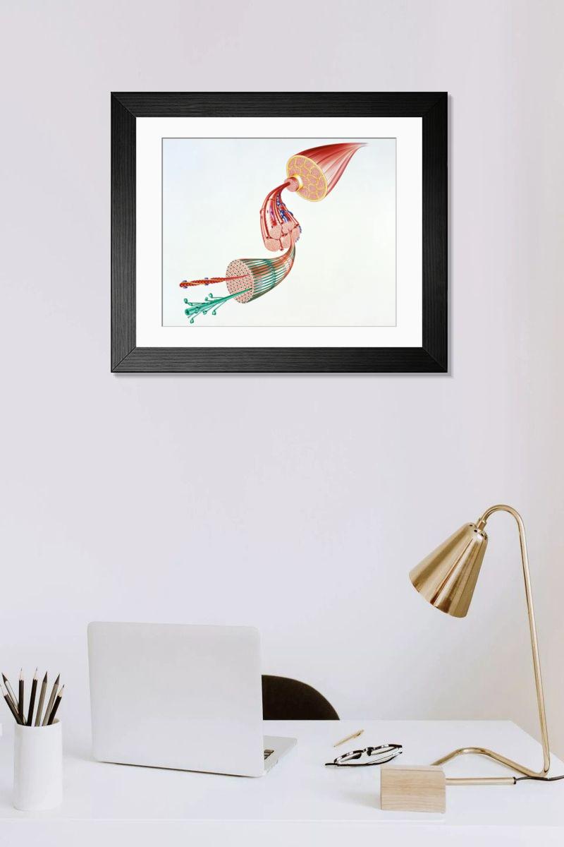Shown hanging in a room: Modern 14"x12" (36x31cm)