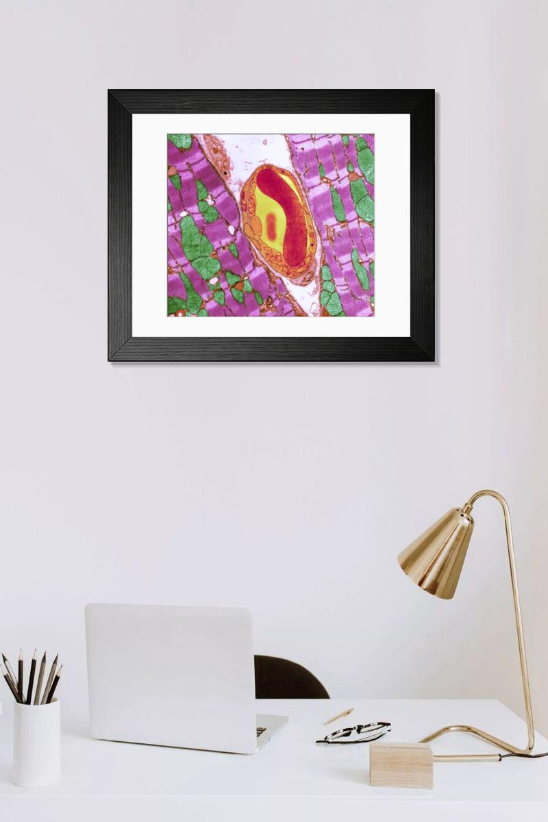 Shown hanging in a room: Modern 14"x12" (36x31cm)