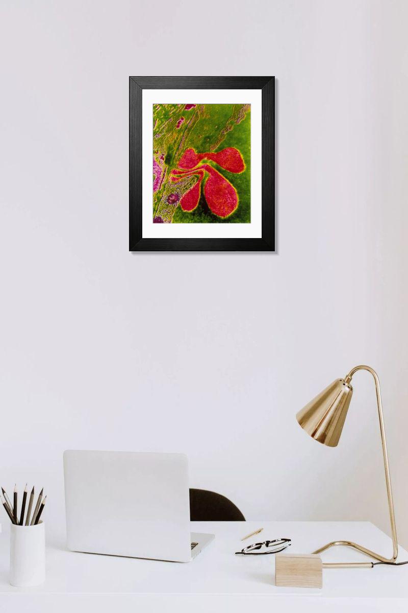 Shown hanging in a room: Modern 14"x12" (36x31cm)