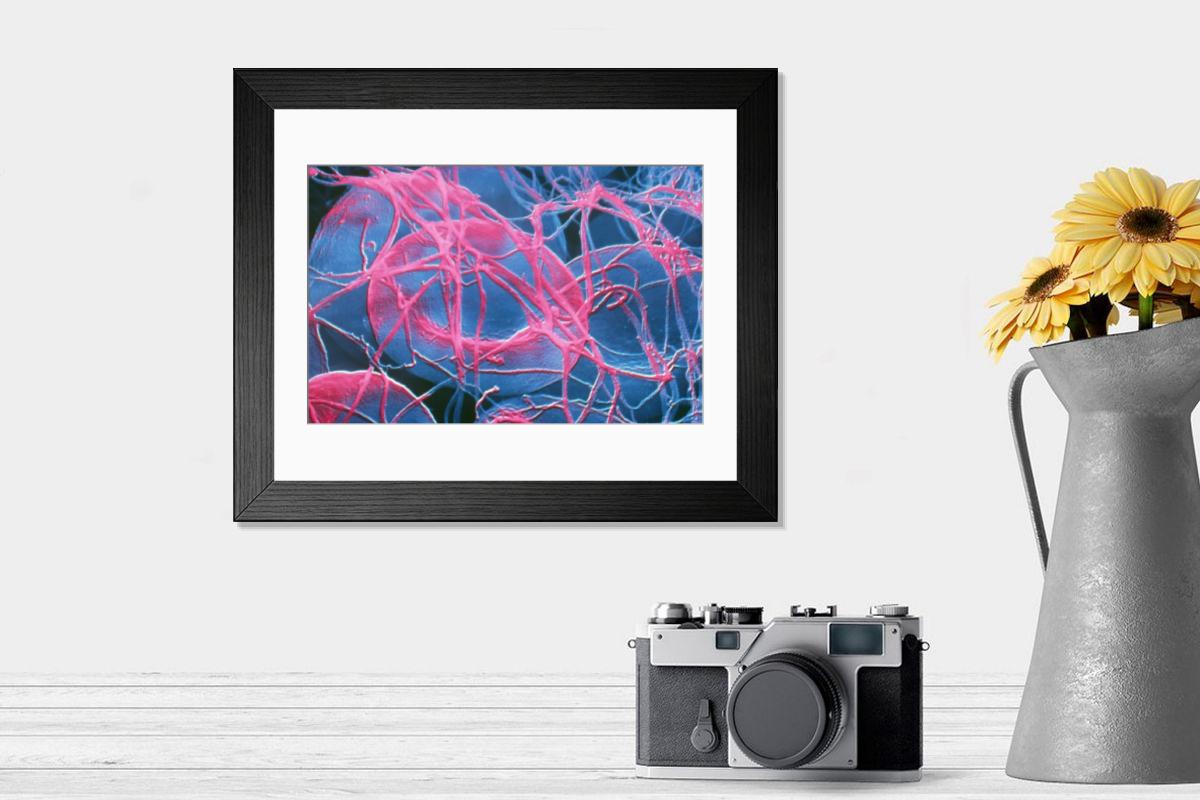 Shown hanging in a room: Modern 14"x12" (36x31cm)