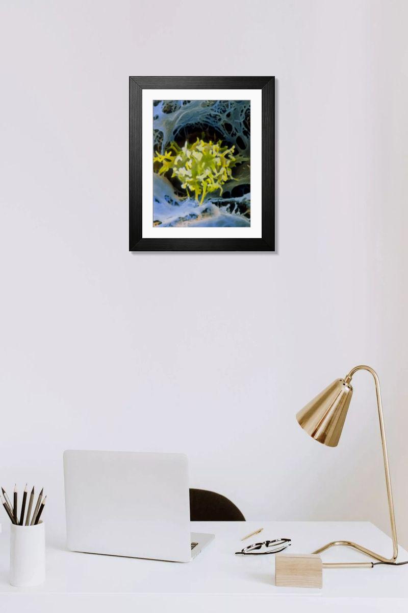 Shown hanging in a room: Modern 14"x12" (36x31cm)