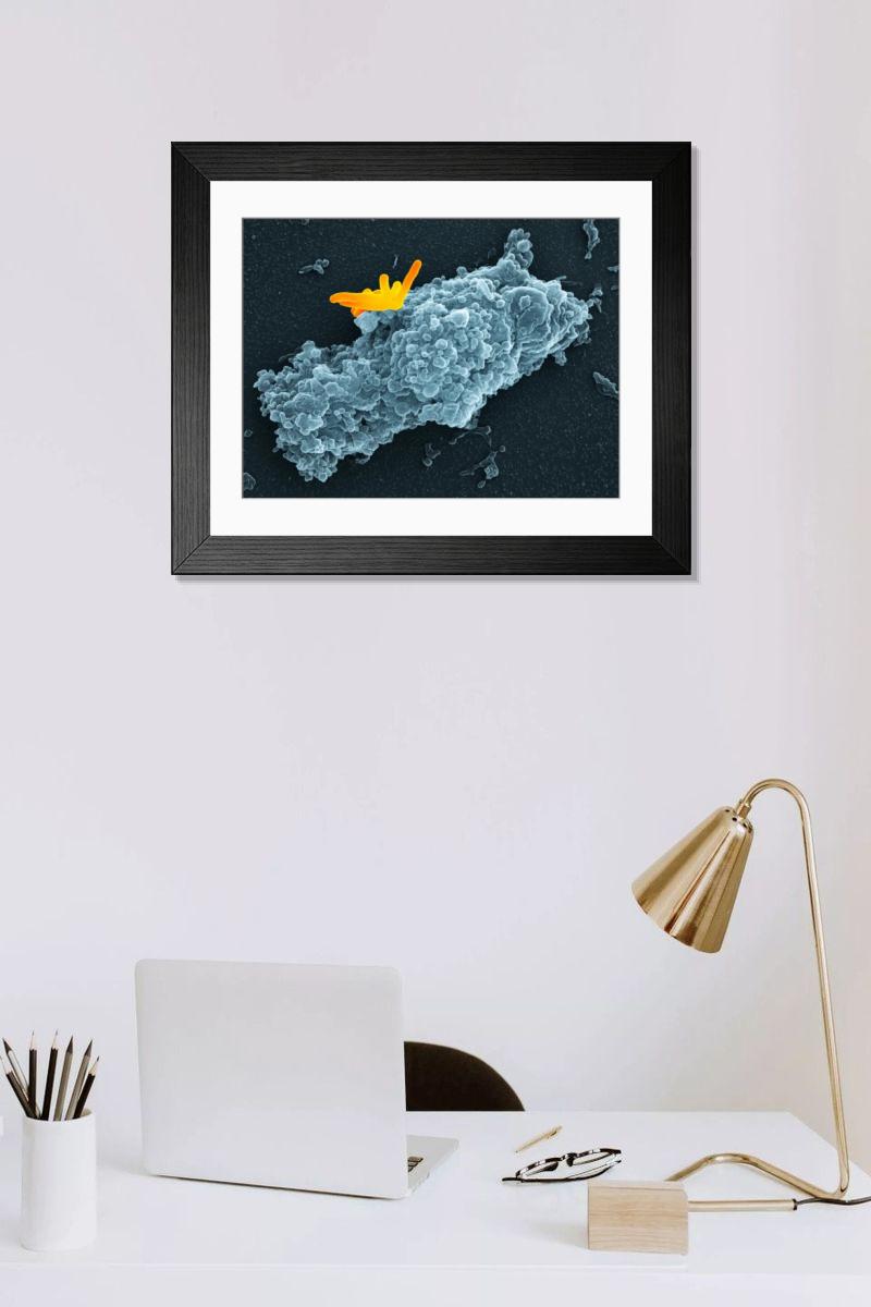Shown hanging in a room: Modern 14"x12" (36x31cm)