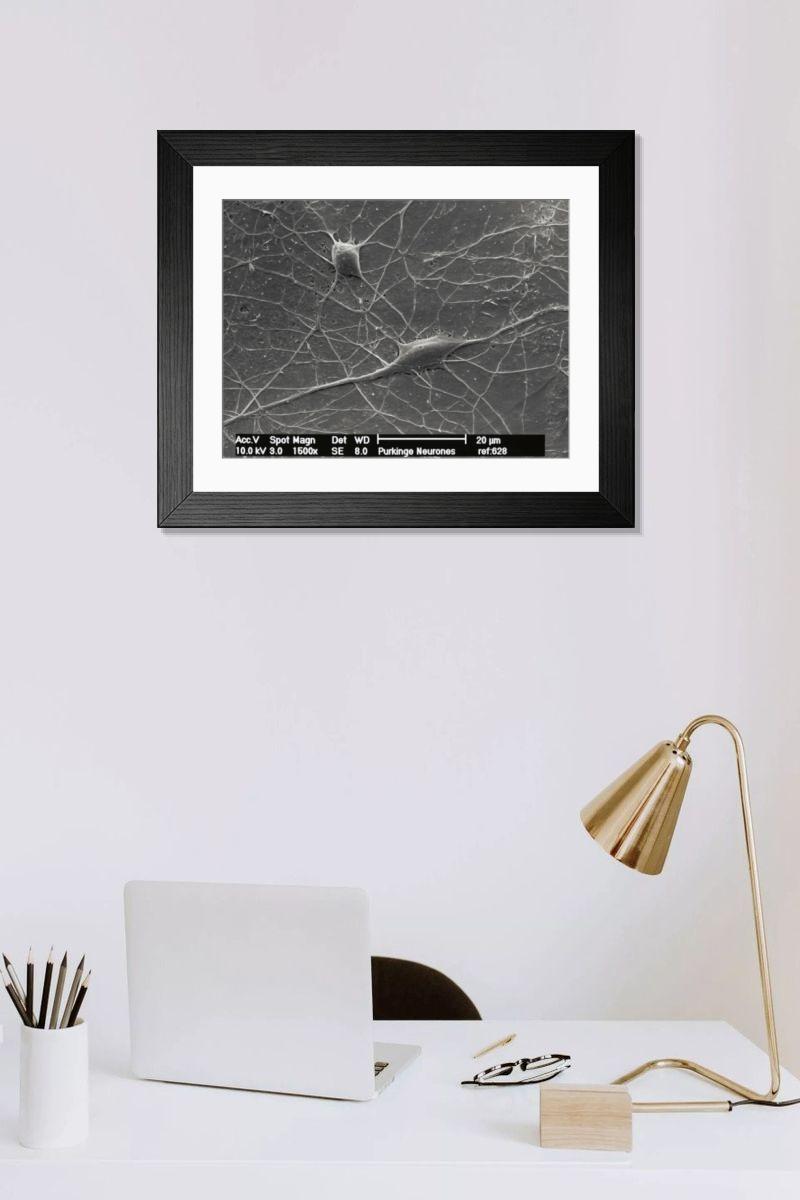 Shown hanging in a room: Modern 14"x12" (36x31cm)