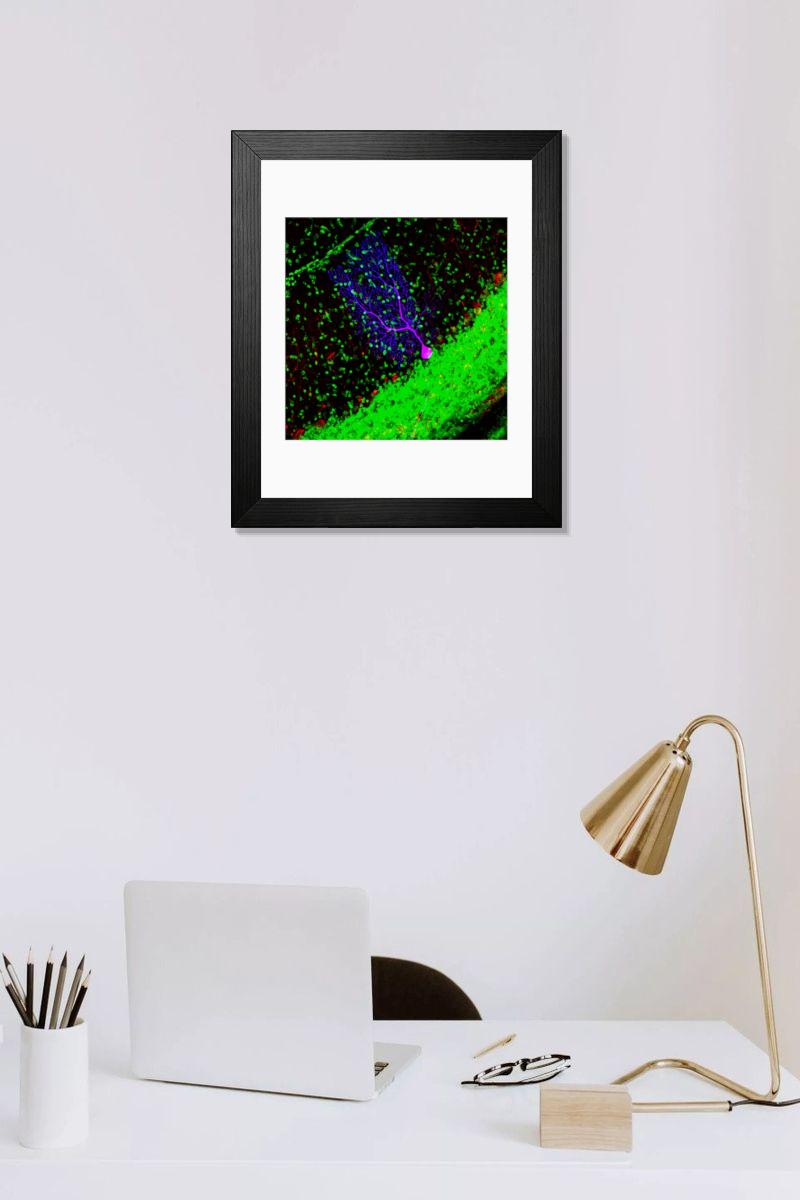 Shown hanging in a room: Modern 14"x12" (36x31cm)