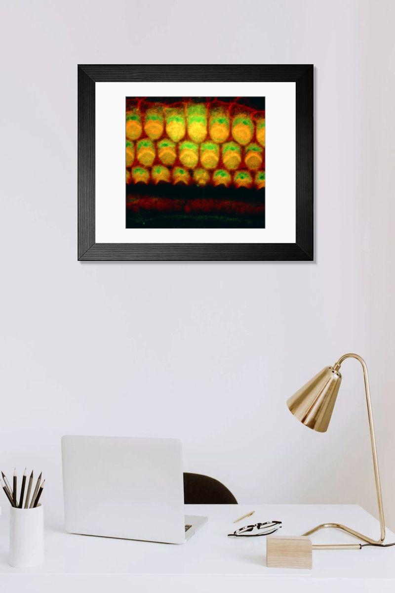 Shown hanging in a room: Modern 14"x12" (36x31cm)