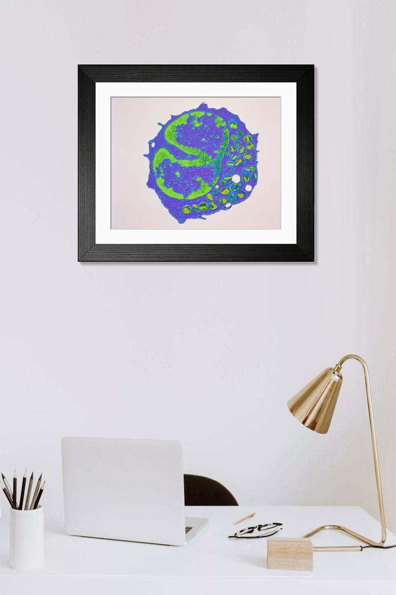 Shown hanging in a room: Modern 14"x12" (36x31cm)