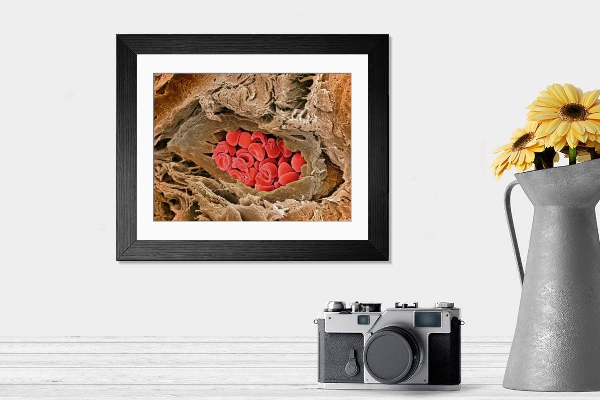 Shown hanging in a room: Modern 14"x12" (36x31cm)