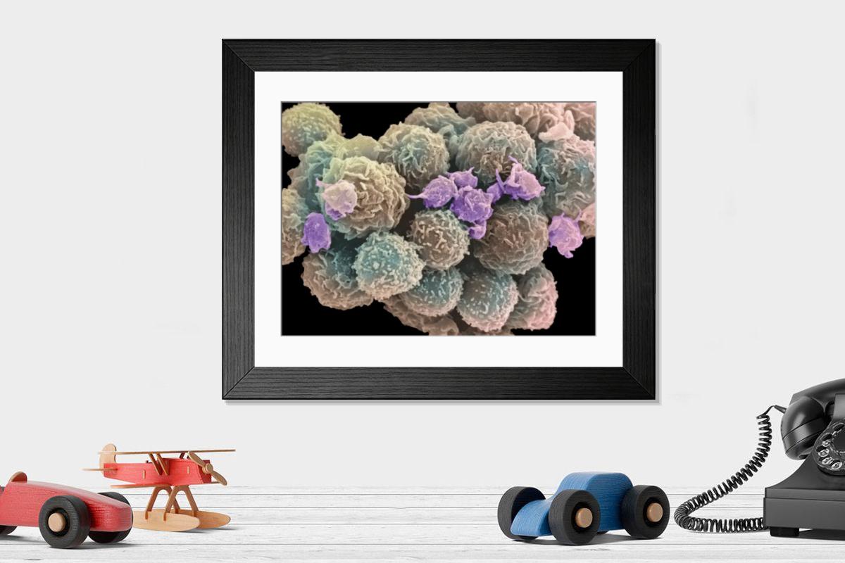 Shown hanging in a room: Modern 14"x12" (36x31cm)