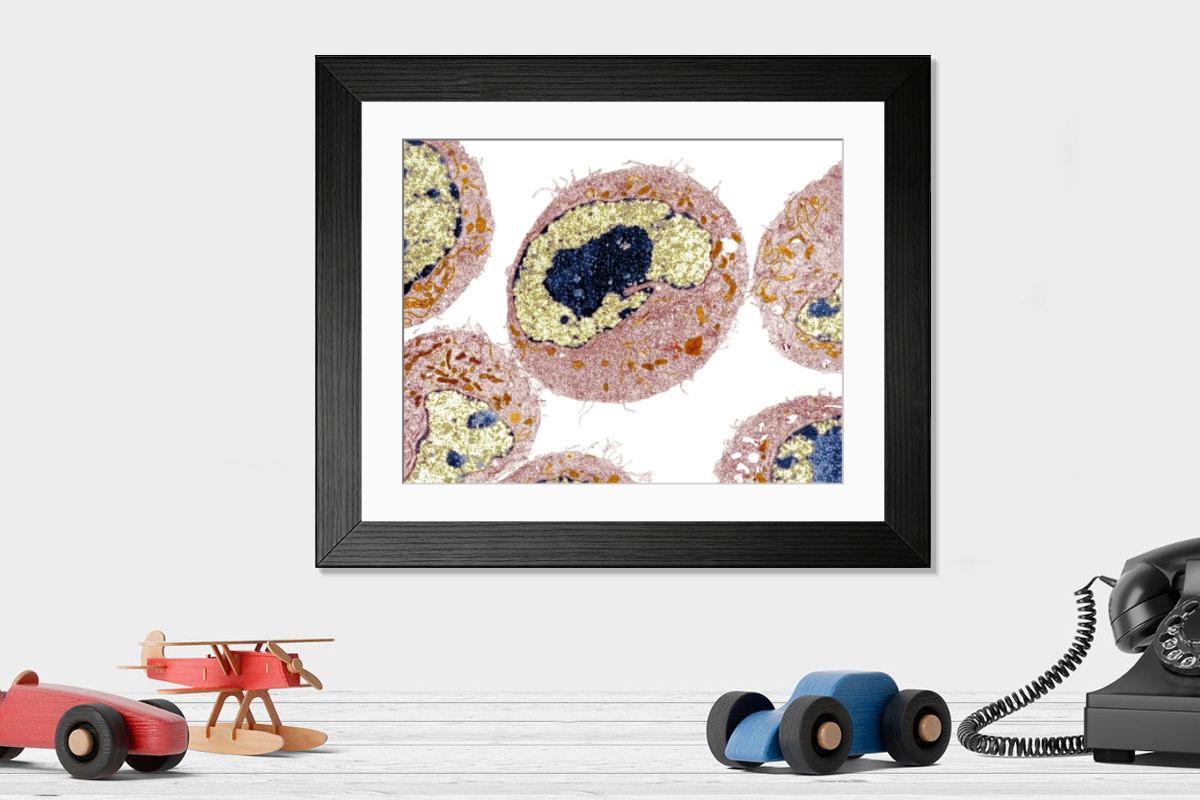 Shown hanging in a room: Modern 14"x12" (36x31cm)