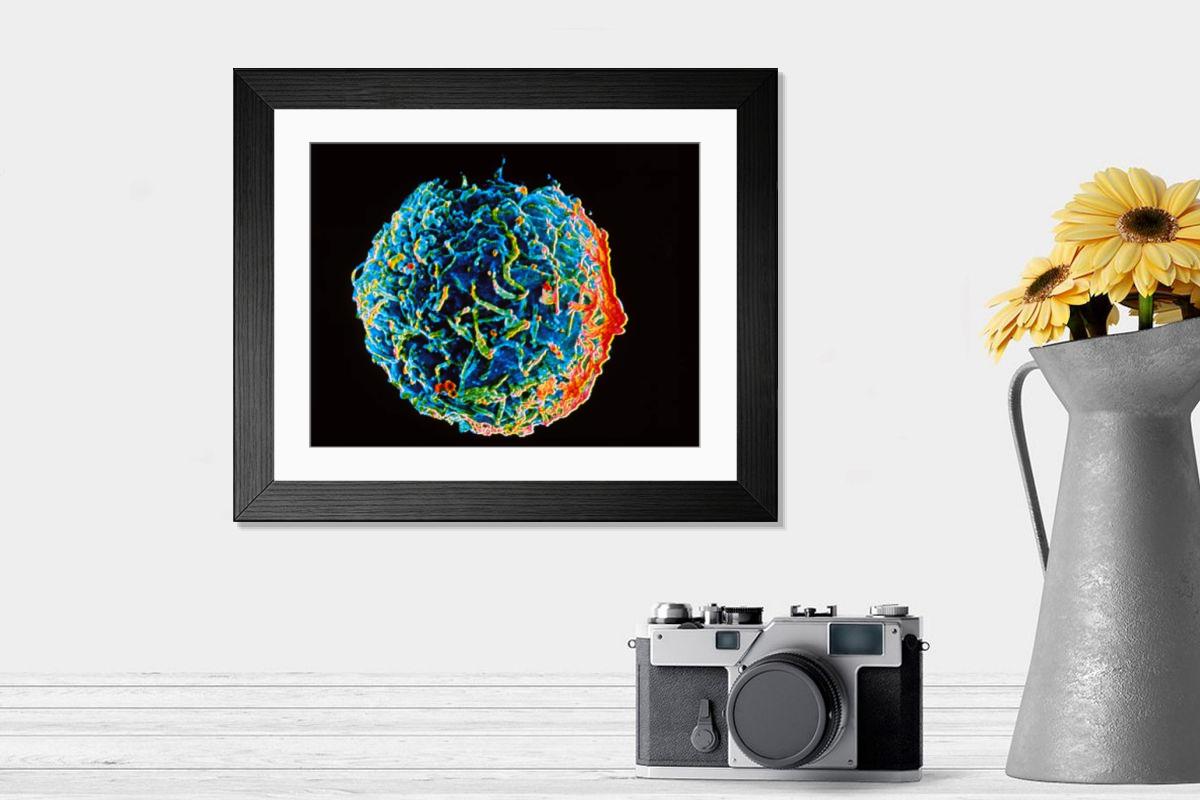 Shown hanging in a room: Modern 14"x12" (36x31cm)