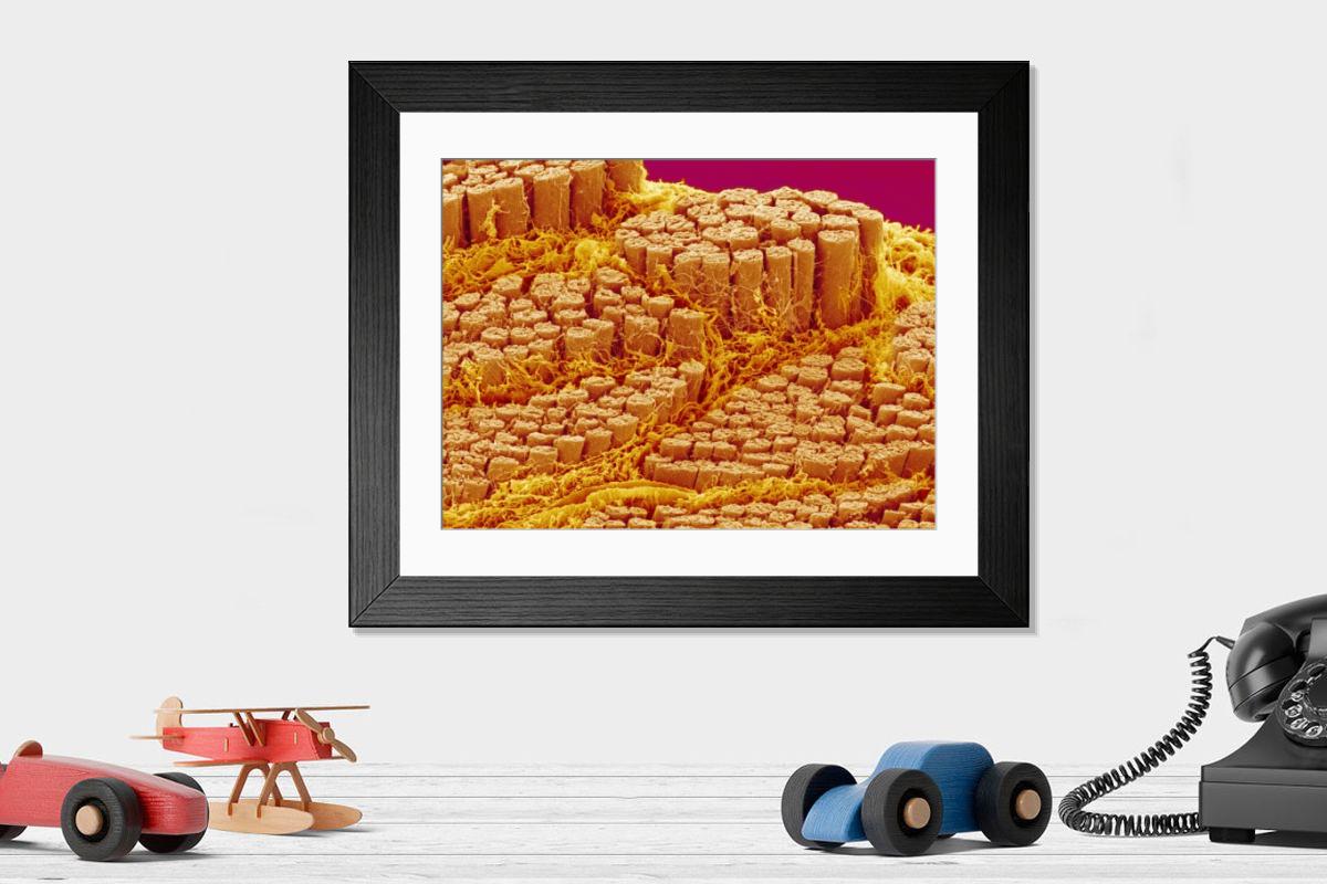 Shown hanging in a room: Modern 14"x12" (36x31cm)