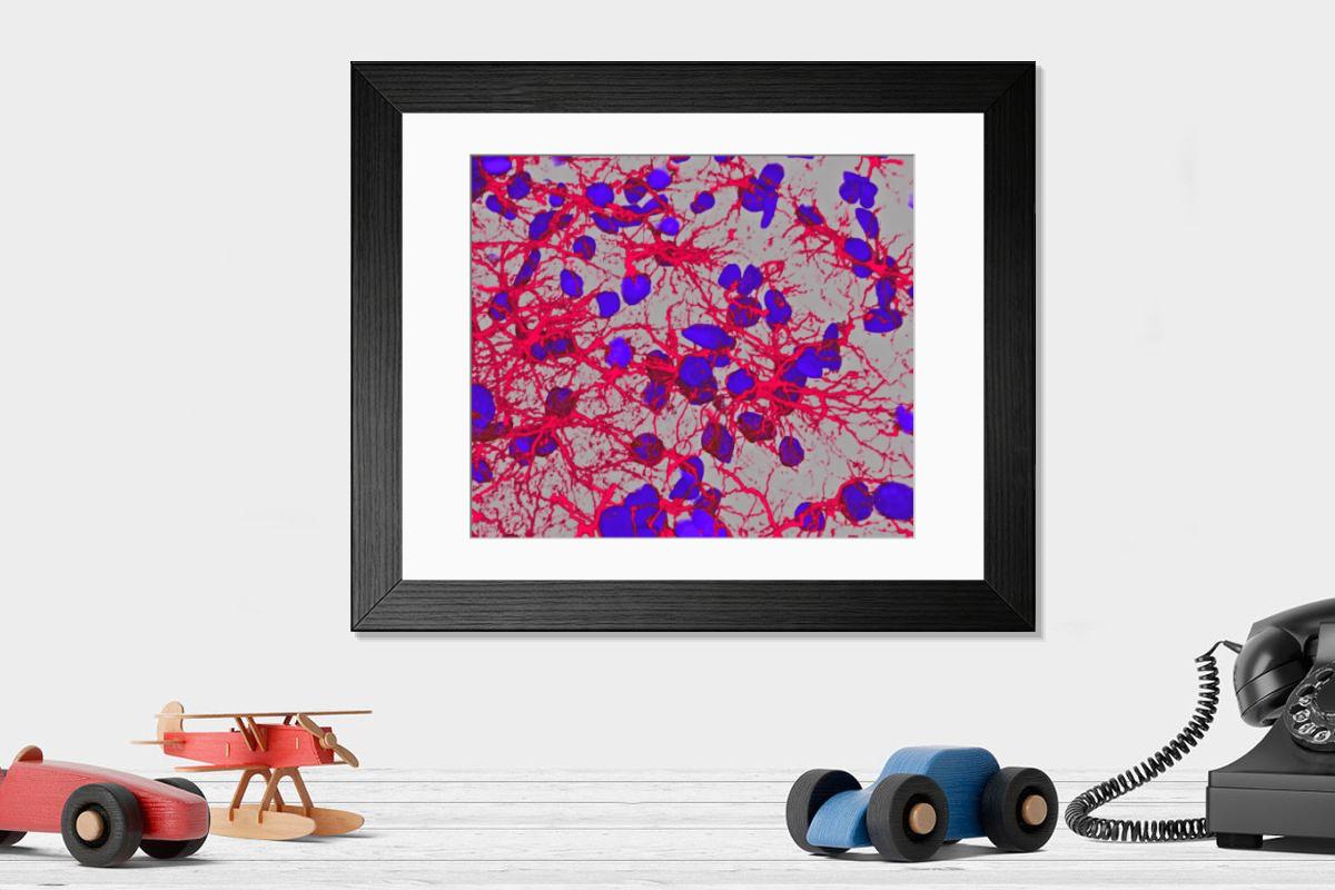 Shown hanging in a room: Modern 14"x12" (36x31cm)