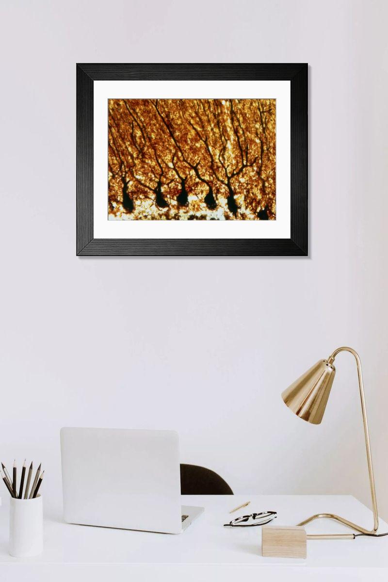 Shown hanging in a room: Modern 14"x12" (36x31cm)